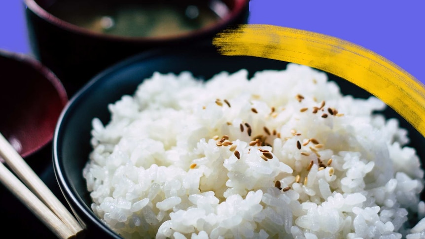 sushi rice fanning technique